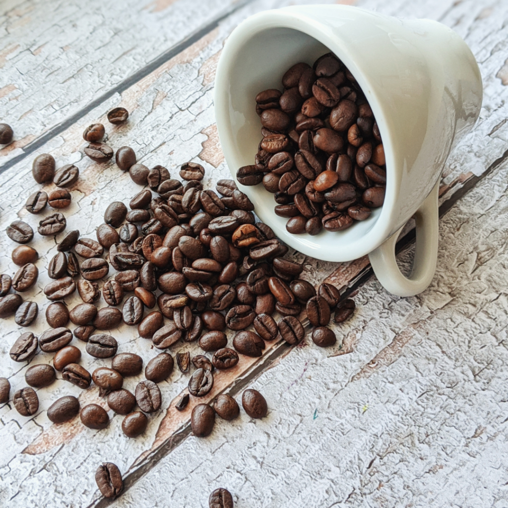 The Best Smells in the World